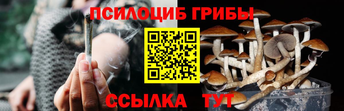 купить   Вход с VPN  Галлюциногенные грибы MAGIC MUSHROOMS  Вичуга  Галлюциногенные грибы MAGIC MUSHROOMS 